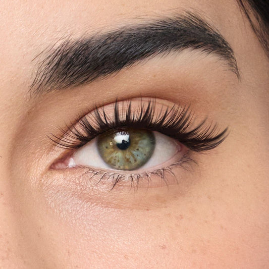 hard magnetic lashes | #8 bratz (PRE-ORDER)