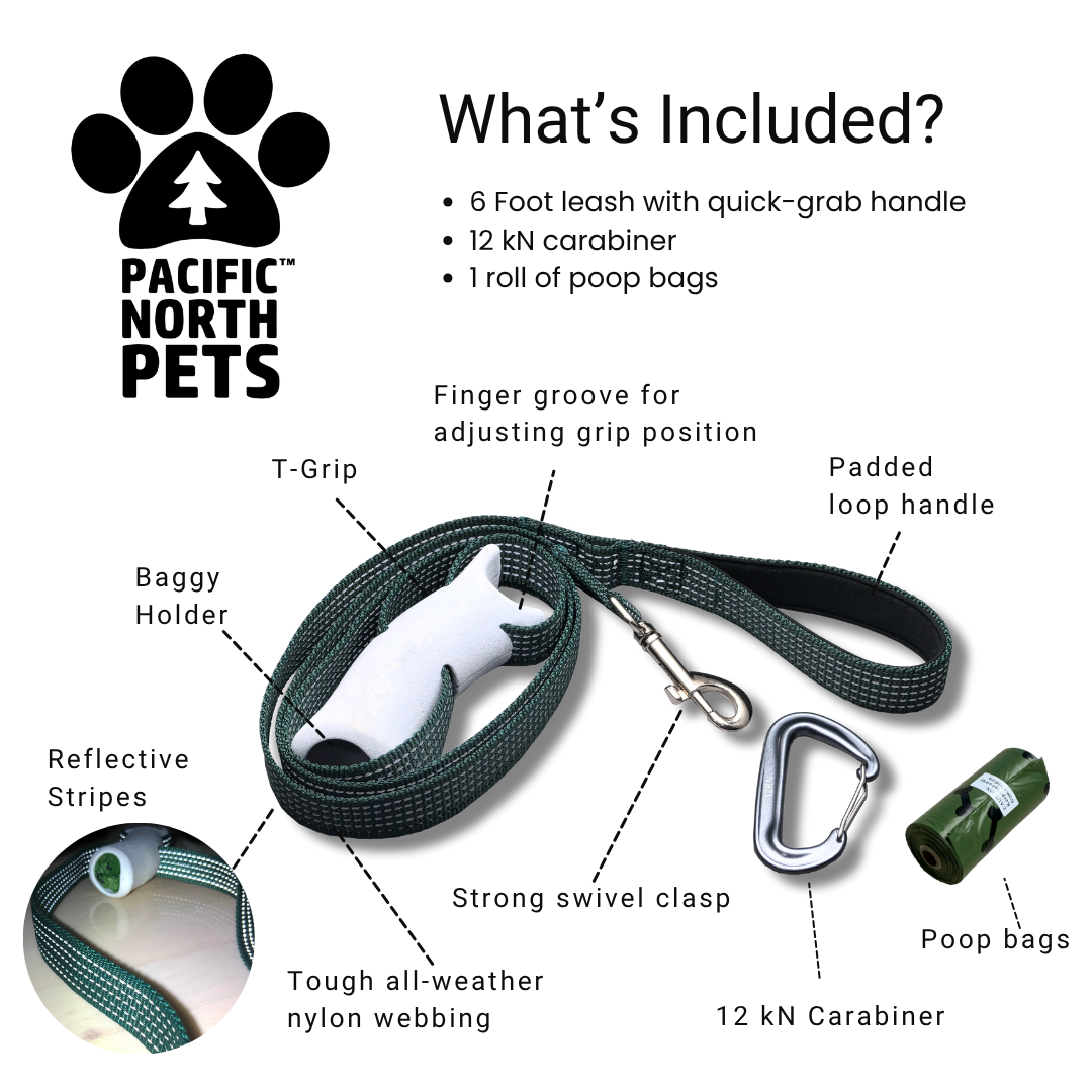 Quick-Control Dog Leash