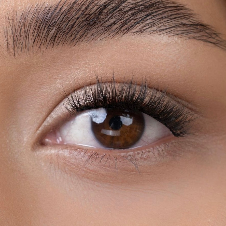 hard magnetic lashes | #3 light moon (PRE-ORDER)