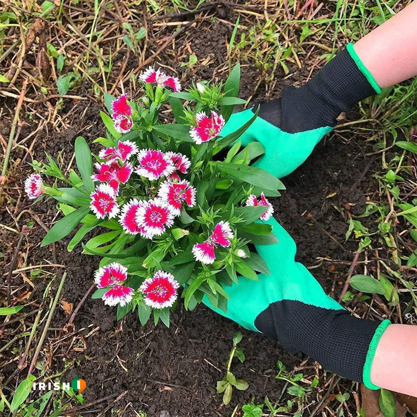 GREENZOR Digging & Planting Claw Gloves