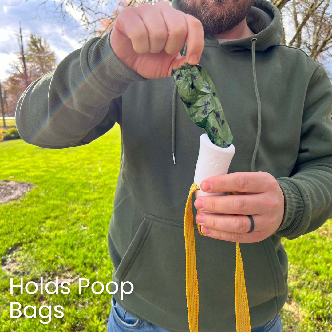 Quick-Control Dog Leash