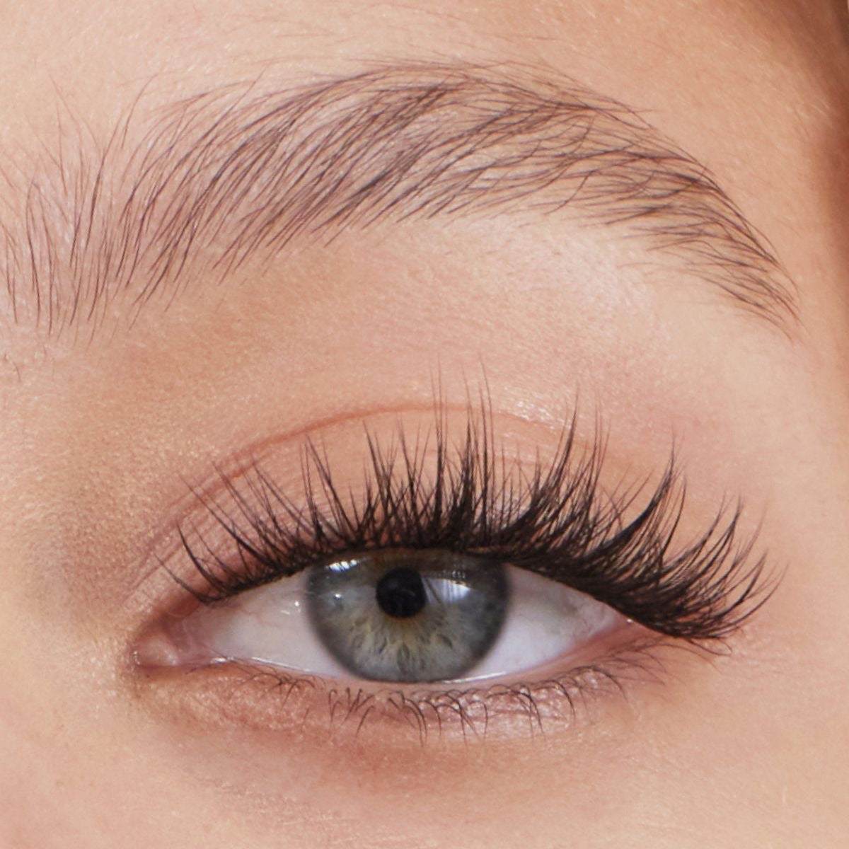 hard magnetic lashes | #5 dark pearl