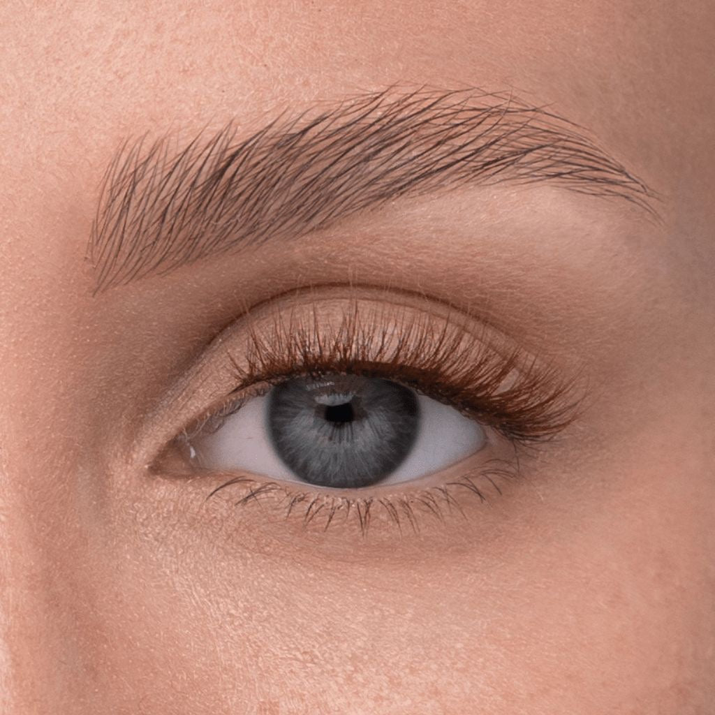 soft magnetic lashes | #12 cerulean brown (PRE-ORDER)