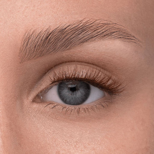 soft magnetic lashes | #12 cerulean brown (PRE-ORDER)