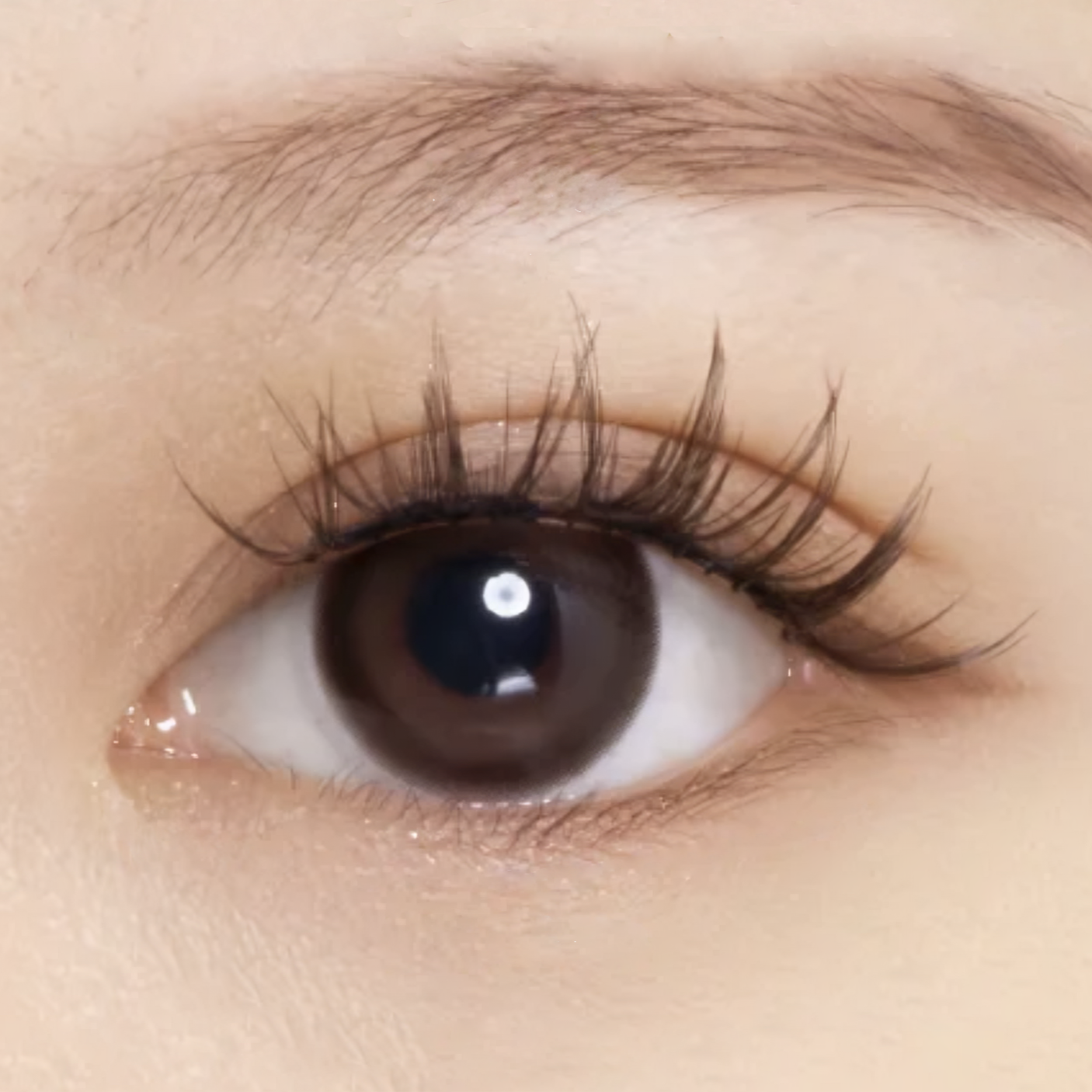 hard magnetic lashes | #11 amber brown (PRE-ORDER)