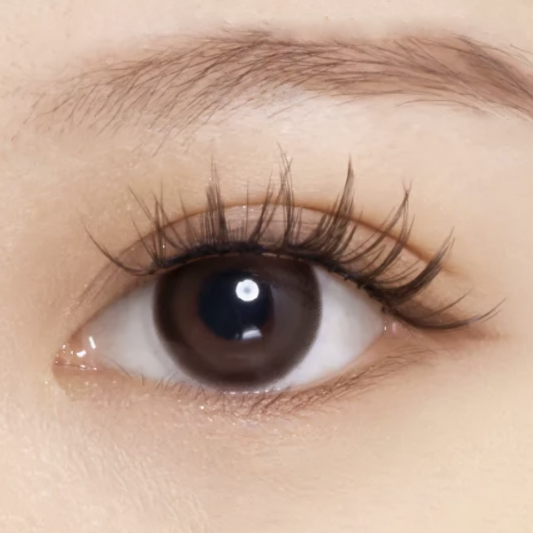 hard magnetic lashes | #11 amber brown (PRE-ORDER)