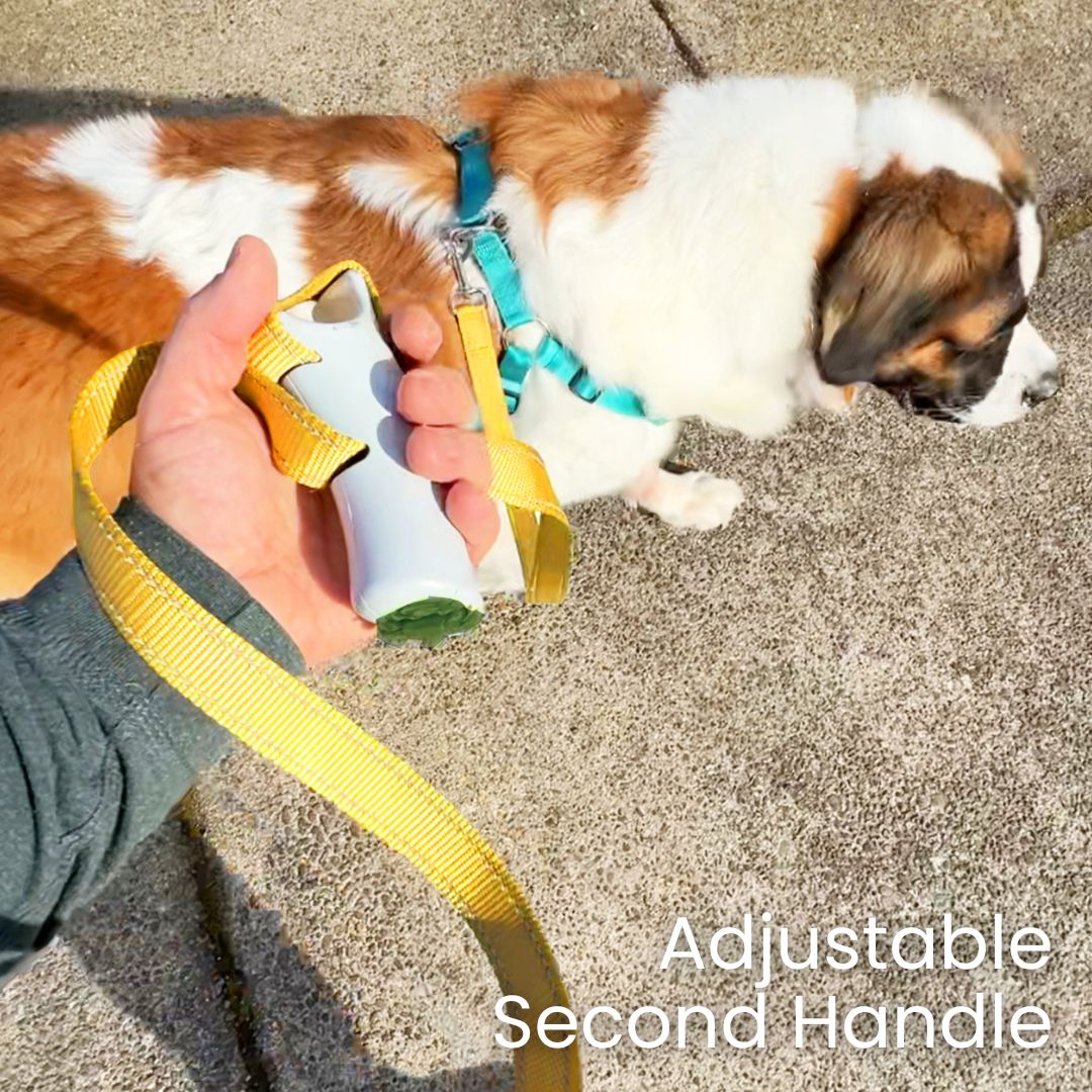 Quick-Control Dog Leash