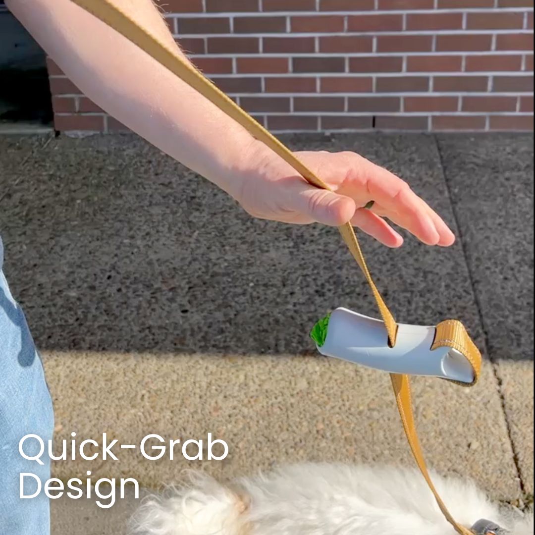 Quick-Control Dog Leash
